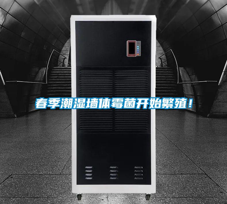 春季潮湿墙体霉菌开始繁殖！