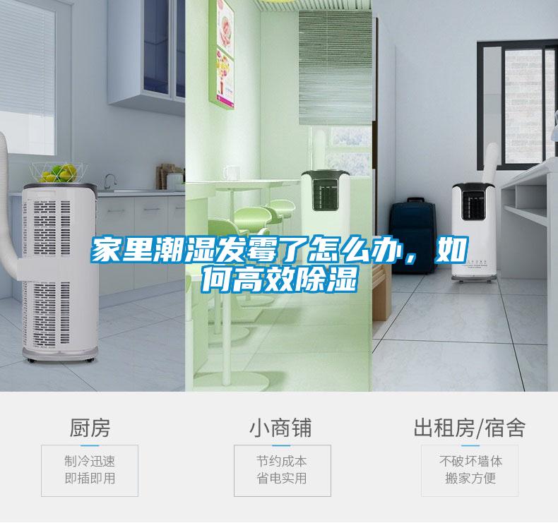 家里潮湿发霉了怎么办，如何高效除湿