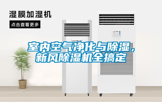室内空气净化与除湿，新风麻豆视频黄网站全搞定