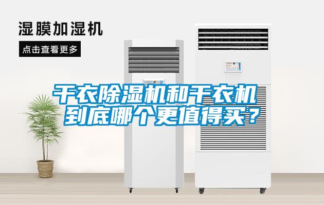 干衣麻豆视频黄网站和干衣机 到底哪个更值得买？