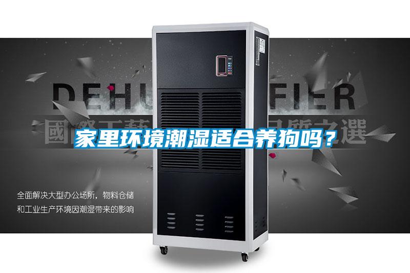 家里环境潮湿适合养狗吗？