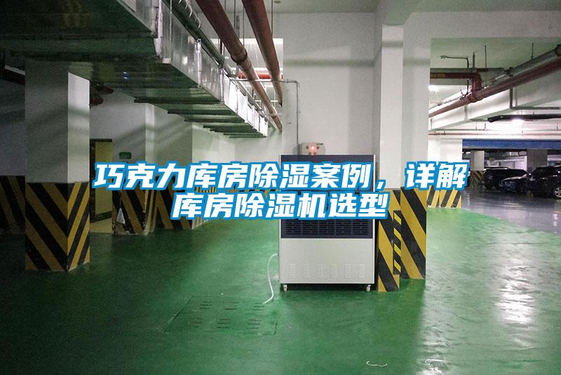 巧克力库房除湿案例，详解库房麻豆视频黄网站选型