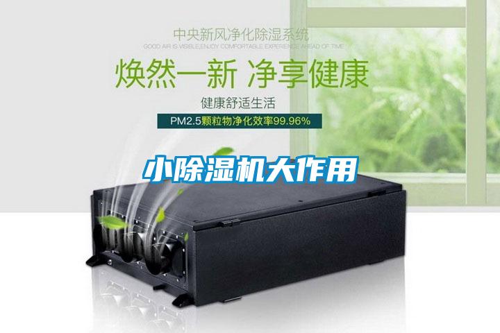 小麻豆视频黄网站大作用