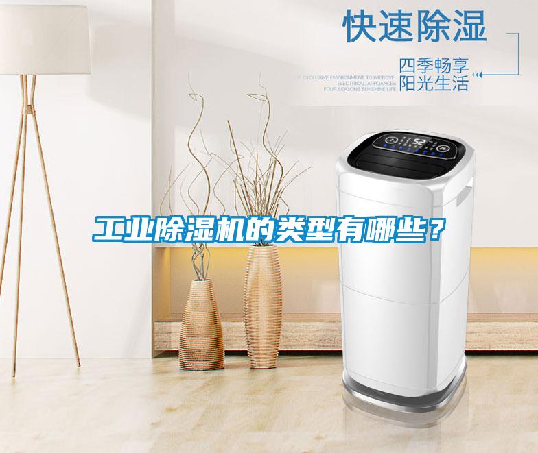 工业麻豆视频黄网站的类型有哪些？