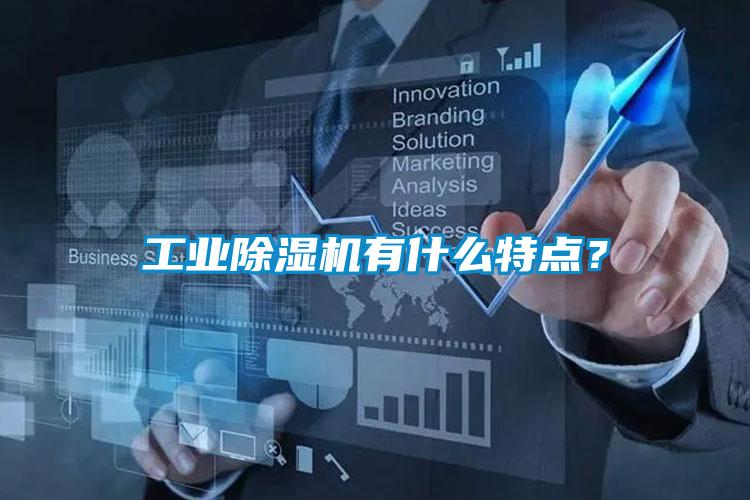 工业麻豆视频黄网站有什么特点？
