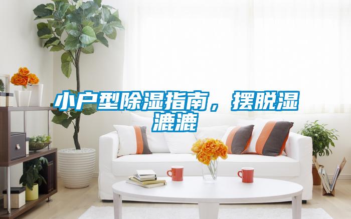 小户型除湿指南，摆脱湿漉漉