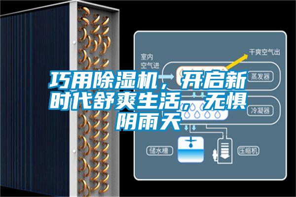 巧用麻豆视频黄网站，开启新时代舒爽生活，无惧阴雨天