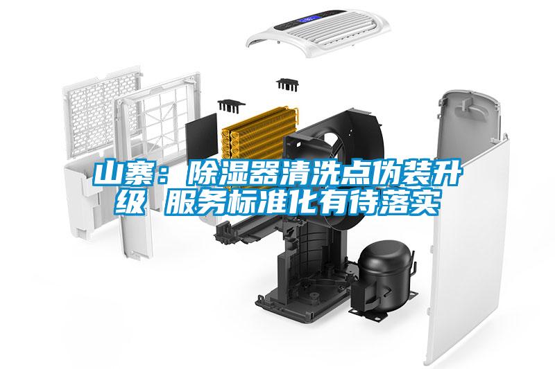 山寨：除湿器清洗点伪装升级 服务标准化有待落实