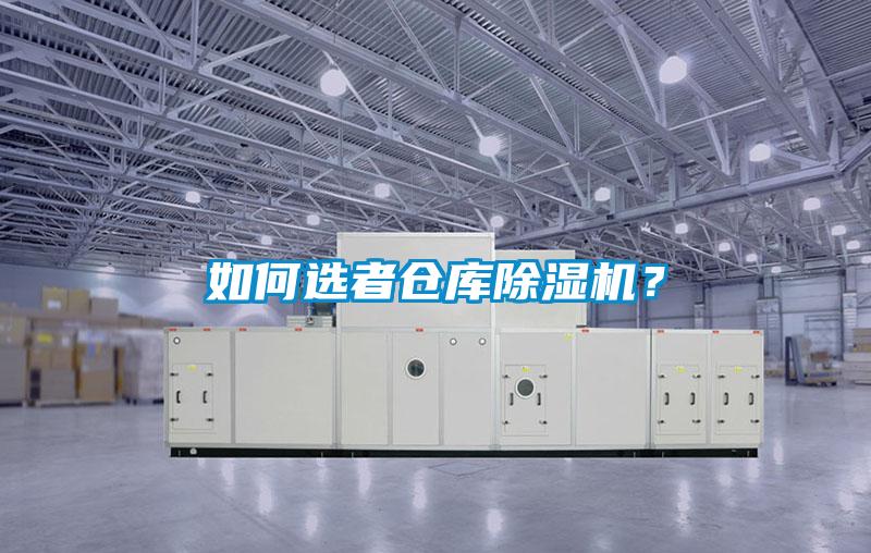 如何选者仓库麻豆视频黄网站？