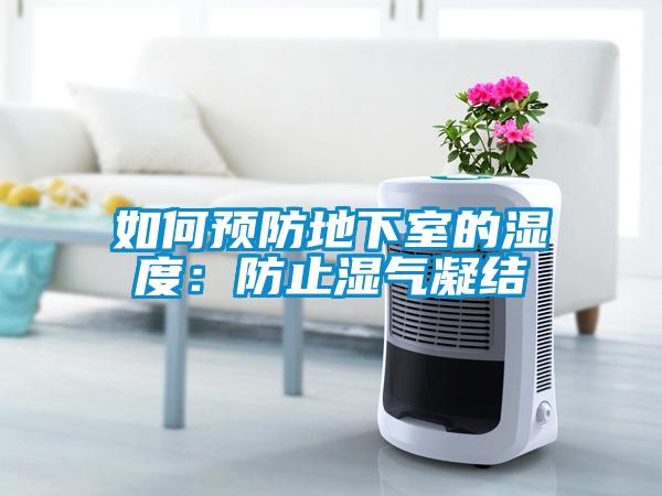 如何预防地下室的湿度：防止湿气凝结