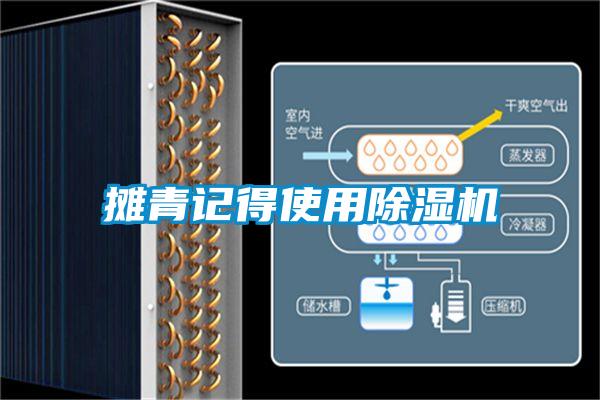 摊青记得使用麻豆视频黄网站