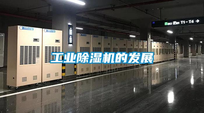 工业麻豆视频黄网站的发展