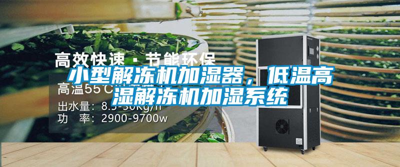 小型解冻机加湿器，低温高湿解冻机加湿系统