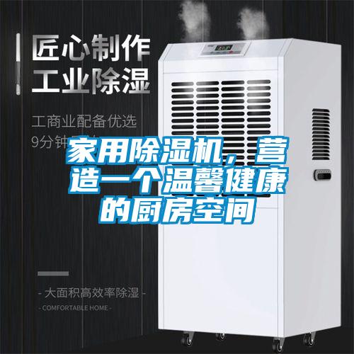 家用麻豆视频黄网站，营造一个温馨健康的厨房空间