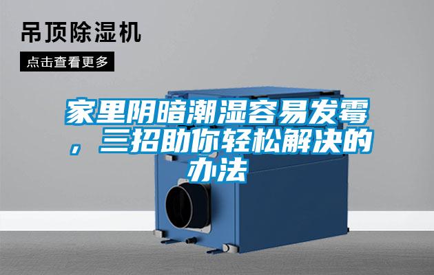 家里阴暗潮湿容易发霉，三招助你轻松解决的办法