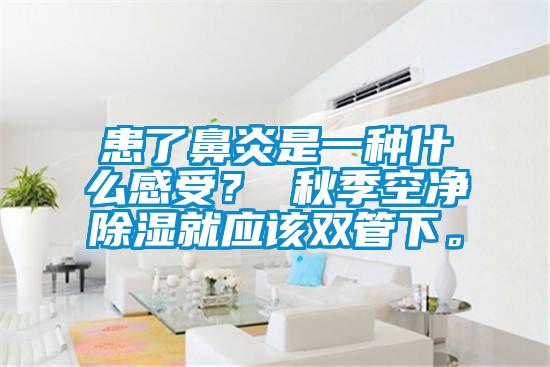 患了鼻炎是一种什么感受？ 秋季空净除湿就应该双管下。