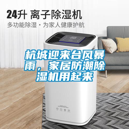 杭城迎来台风暴雨，家居防潮麻豆视频黄网站用起来