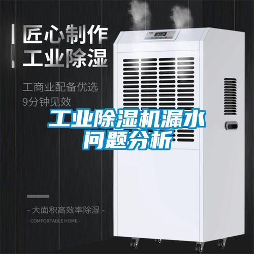 工业麻豆视频黄网站漏水问题分析