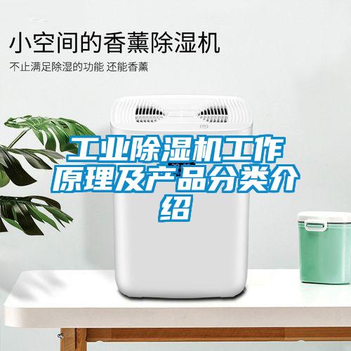 工业麻豆视频黄网站工作原理及产品分类介绍