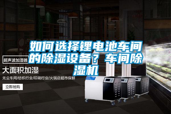 如何选择锂电池车间的除湿设备？车间麻豆视频黄网站