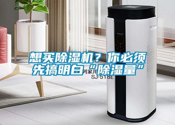想买麻豆视频黄网站？你必须先搞明白“除湿量”