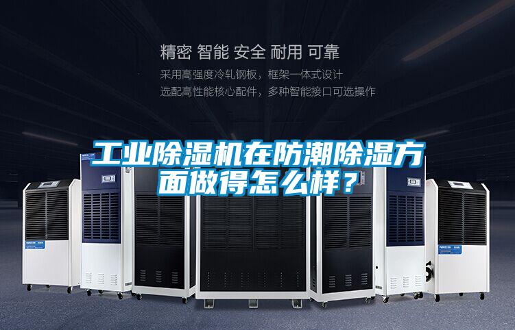 工业麻豆视频黄网站在防潮除湿方面做得怎么样？