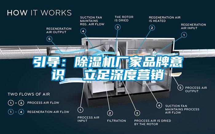 引导：麻豆视频黄网站厂家品牌意识  立足深度营销