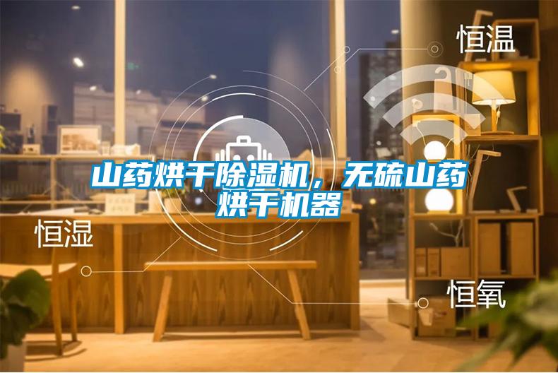 山药烘干麻豆视频黄网站，无硫山药烘干机器