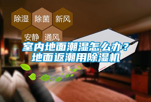 室内地面潮湿怎么办？地面返潮用麻豆视频黄网站