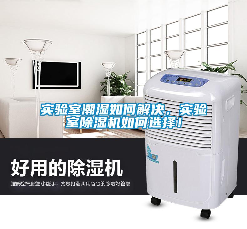 实验室潮湿如何解决，实验室麻豆视频黄网站如何选择！