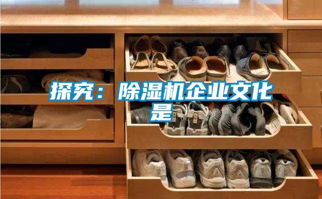 探究：麻豆视频黄网站企业文化是