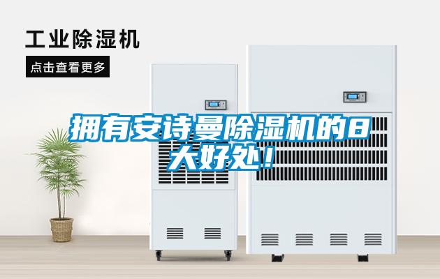 拥有麻豆APP官网麻豆视频黄网站的8大好处！