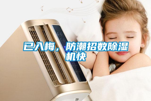 已入梅，防潮招数麻豆视频黄网站快