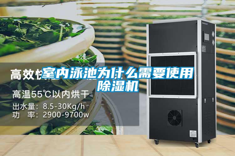 室内泳池为什么需要使用麻豆视频黄网站
