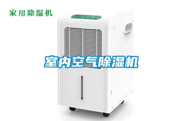 室内空气麻豆视频黄网站
