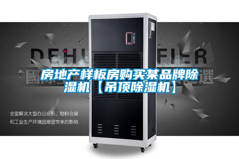 房地产样板房购买某品牌麻豆视频黄网站【吊顶麻豆视频黄网站】