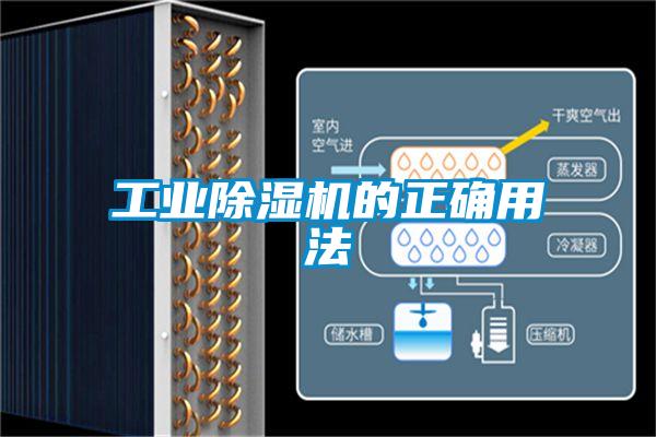 工业麻豆视频黄网站的正确用法