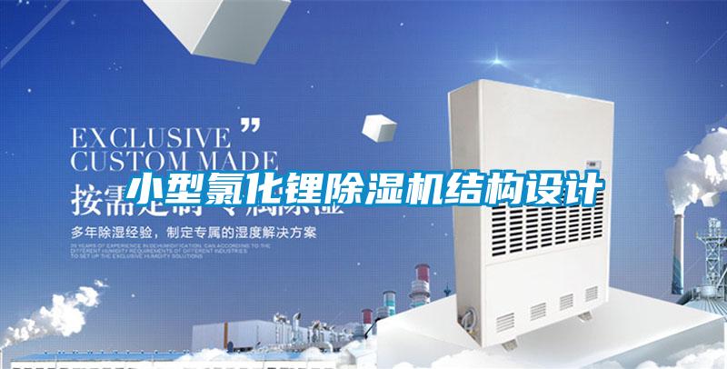 小型氯化锂麻豆视频黄网站结构设计