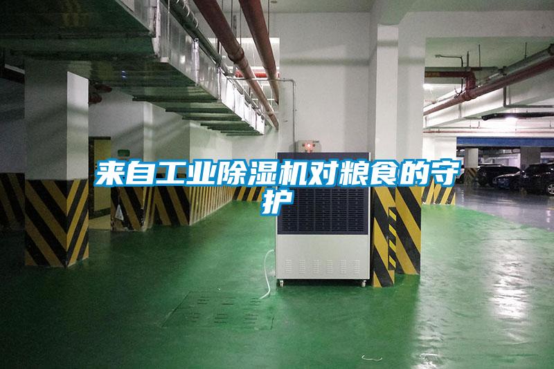 来自工业麻豆视频黄网站对粮食的守护