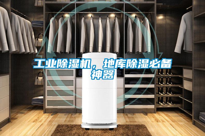 工业麻豆视频黄网站，地库除湿必备神器