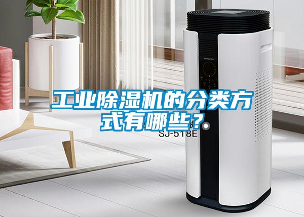 工业麻豆视频黄网站的分类方式有哪些？