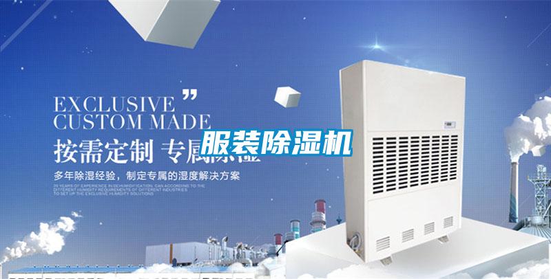 服装麻豆视频黄网站