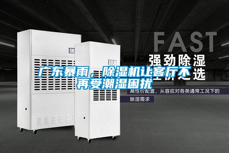 广东暴雨，麻豆视频黄网站让客厅不再受潮湿困扰