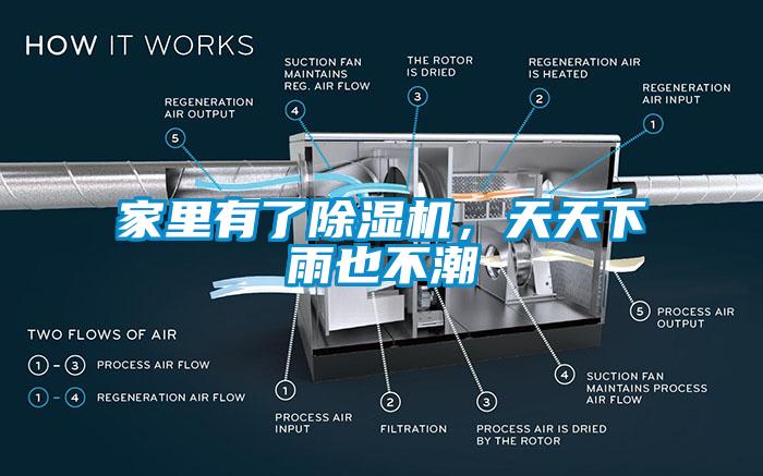 家里有了麻豆视频黄网站，天天下雨也不潮