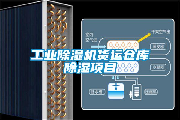 工业麻豆视频黄网站货运仓库除湿项目