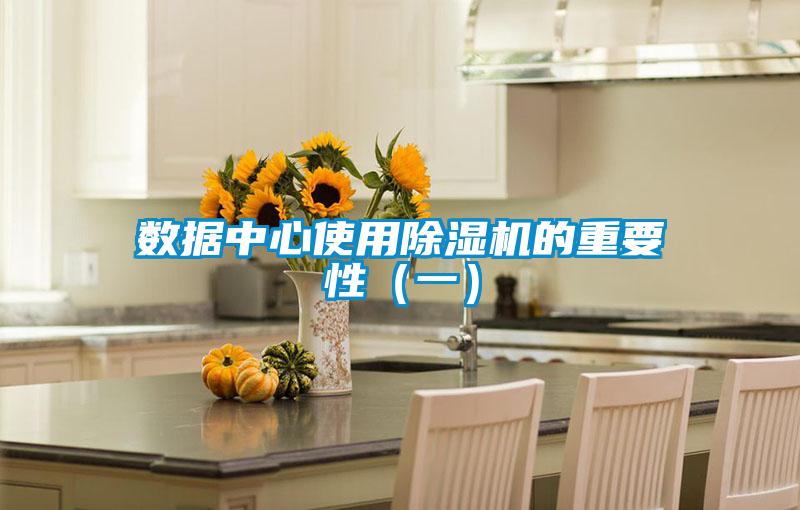 数据中心使用麻豆视频黄网站的重要性（一）
