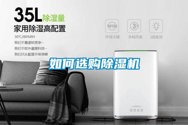 如何选购麻豆视频黄网站