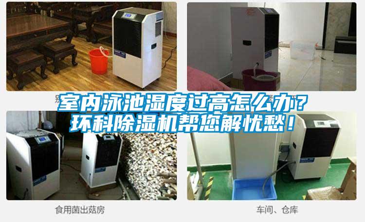 室内泳池湿度过高怎么办？环科麻豆视频黄网站帮您解忧愁！