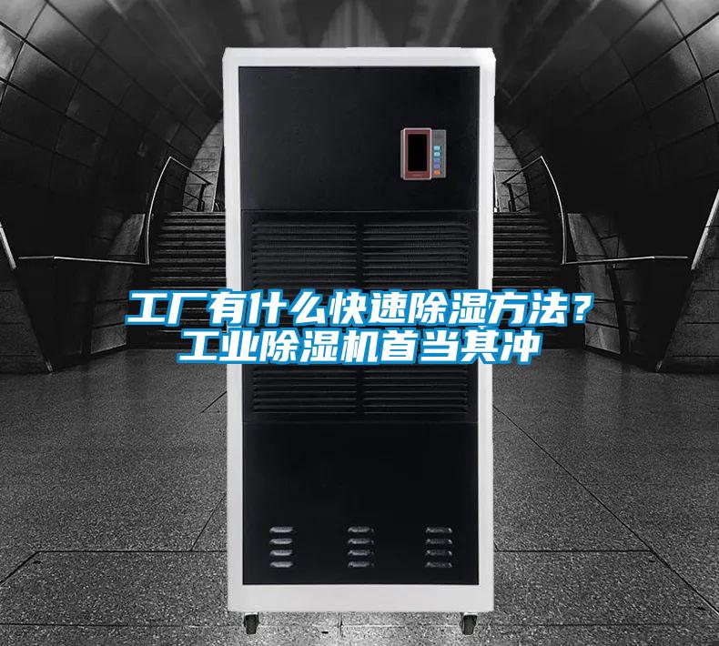 工厂有什么快速除湿方法？工业麻豆视频黄网站首当其冲