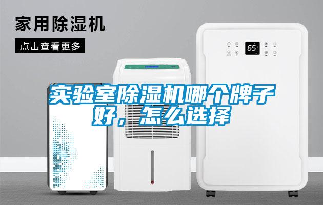 实验室麻豆视频黄网站哪个牌子好，怎么选择